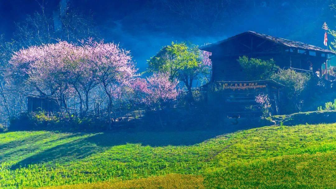 顶级寿司店